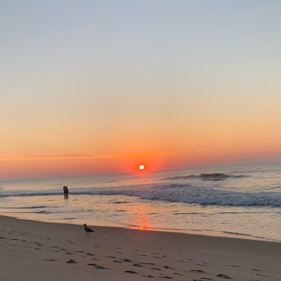 Meet your Posher, Gianna - Picture 1 of 1